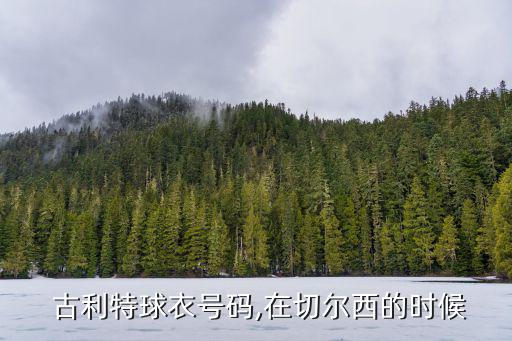 古利特,前阿姆斯特丹足球隊長古利特正式退役