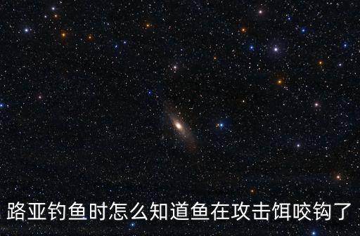 路亞釣魚時(shí)怎么知道魚在攻擊餌咬鉤了