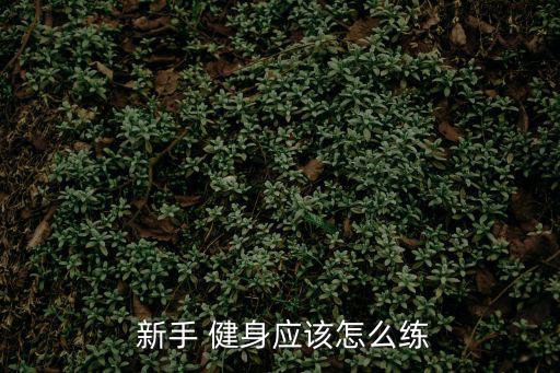 新手健身計劃,理性健身計劃需要你付諸行動什么都不怕?