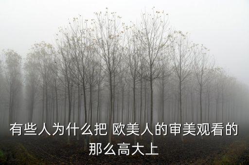 有些人為什么把 歐美人的審美觀看的那么高大上