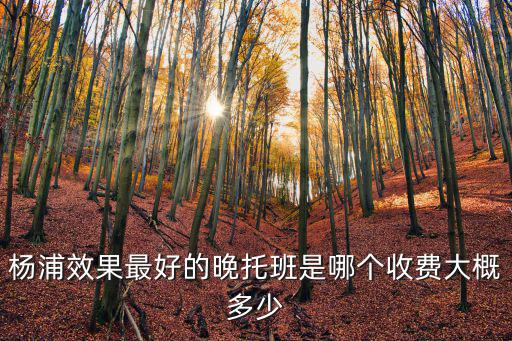 楊浦上實劍橋住宿費，楊浦效果最好的晚托班是哪個收費大概多少