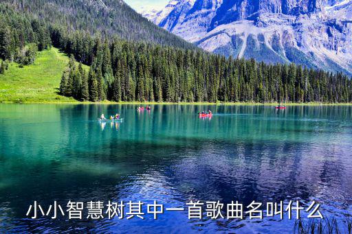 小小智慧樹其中一首歌曲名叫什么