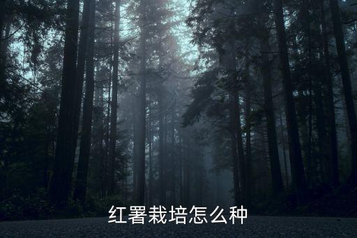 紅薯怎么種,高產(chǎn)紅薯栽培技術(shù)要點(diǎn)