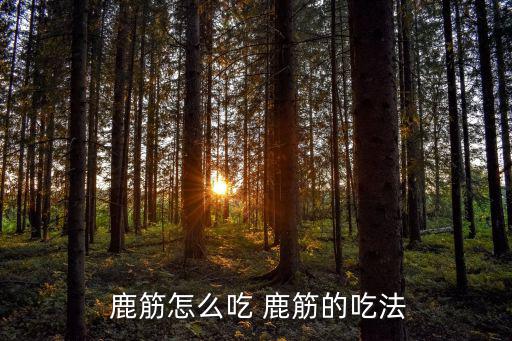  鹿筋怎么吃 鹿筋的吃法