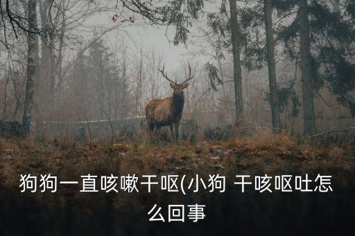 狗狗干咳,咳嗽干嘔怎么辦?