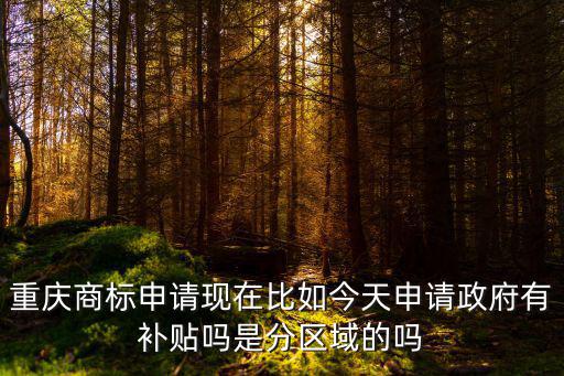 重慶市南川區(qū)商標(biāo)補(bǔ)貼，重慶渝中商標(biāo)在哪里補(bǔ)助