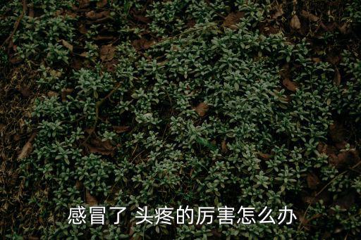  感冒了 頭疼的厲害怎么辦