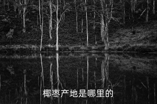 棗椰樹,挑選棗椰樹小技巧:較軟、較透明的棗棗