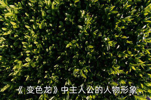 《 變色龍》中主人公的人物形象