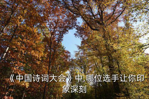靳舒馨,我國選手詩詞儲備優于常人一路走來成為總冠軍