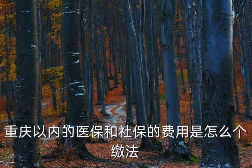 重慶市涪陵區職工醫保繳費，重慶以內的醫保和社保的費用是怎么個繳法