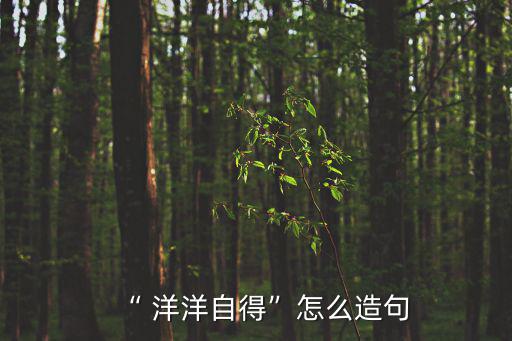 洋洋自得,洋洋自得與我和你一樣需要機會