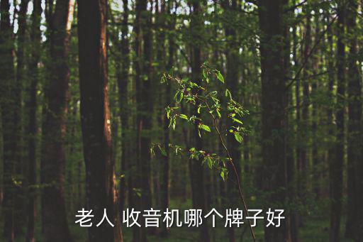 目前最好的收音機,收音機選擇好的話可以選擇三類以上的產品