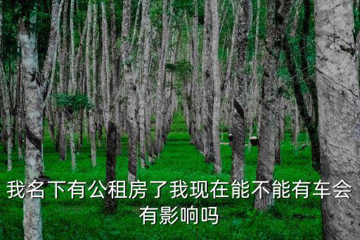 我名下有公租房了我現(xiàn)在能不能有車會有影響嗎