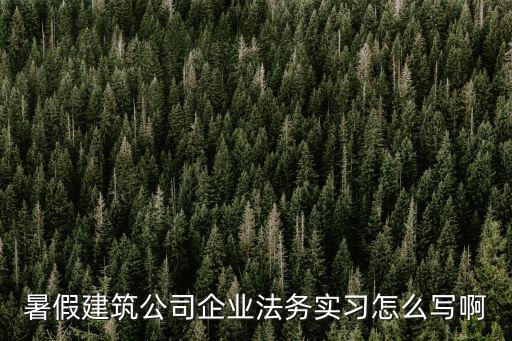 暑假建筑公司企業法務實習怎么寫啊