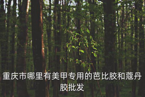 重慶市哪里有美甲專用的芭比膠和蔻丹膠批發