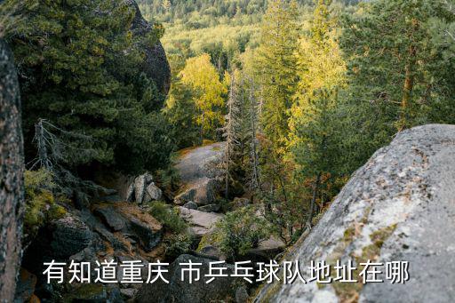 有知道重慶 市乒乓球隊地址在哪