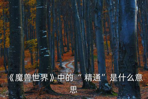 精通的意思,魔獸世界防守天賦下精通等級意味著什么?