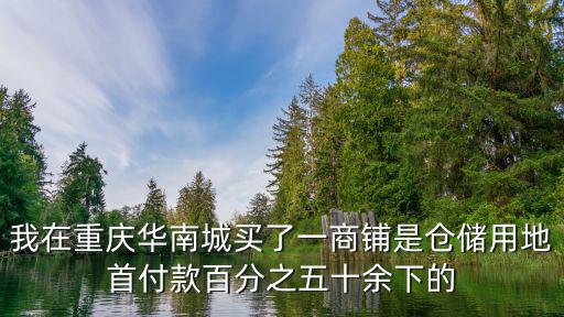 我在重慶華南城買了一商鋪是倉儲用地首付款百分之五十余下的