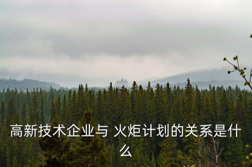 高新技術企業與 火炬計劃的關系是什么