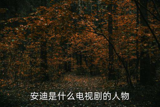 安迪是什么電視劇的人物