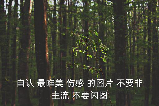 唯美傷感圖片大全，自認(rèn) 最唯美 傷感 的圖片 不要非主流 不要閃圖