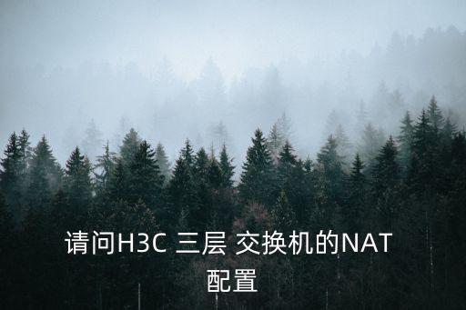 請問H3C 三層 交換機的NAT 配置
