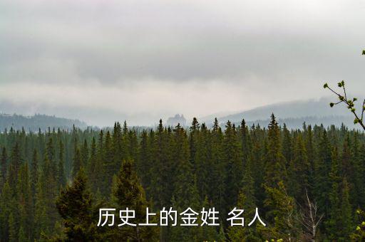 歷史上的金姓 名人
