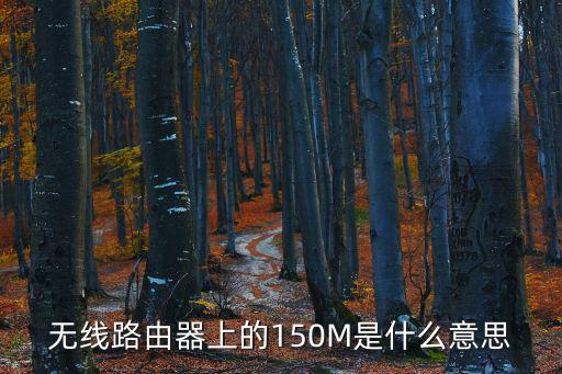 無線路由器上的150M是什么意思