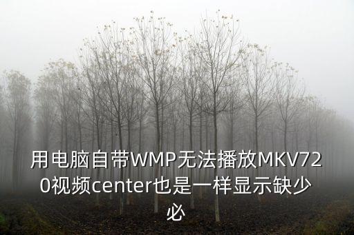 用電腦自帶WMP無法播放MKV720視頻center也是一樣顯示缺少必