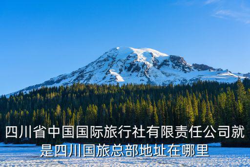 成都市武侯區紫荊西路55號，成都市武侯區疾控中心在哪