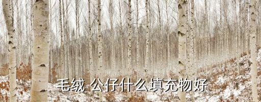 毛絨公仔,毛絨公仔洗干凈晾干保持完好如初