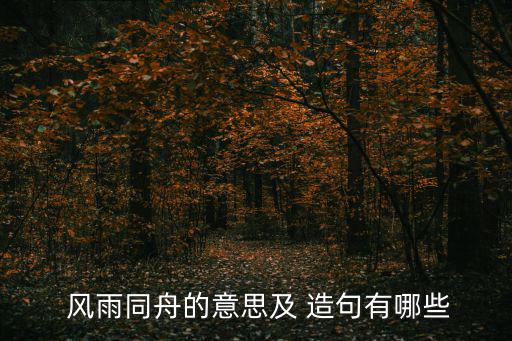 風雨同舟造句,第二集:風雨同舟共創(chuàng)奇跡