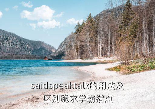 saidspeaktalk的用法及區別跪求學霸指點