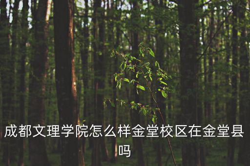 成都文理學(xué)院怎么樣金堂校區(qū)在金堂縣嗎