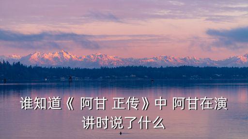 誰知道《 阿甘 正傳》中 阿甘在演講時說了什么