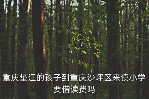 重慶市墊江小學學費，重慶墊江的孩子到重慶沙坪區來讀小學要借讀費嗎