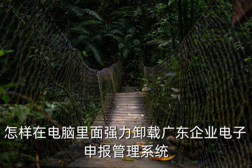 怎樣在電腦里面強(qiáng)力卸載廣東企業(yè)電子申報(bào)管理系統(tǒng)