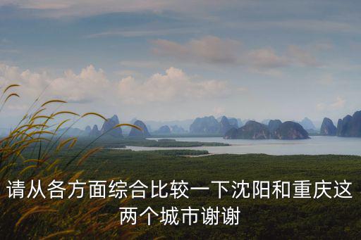請從各方面綜合比較一下沈陽和重慶這兩個城市謝謝