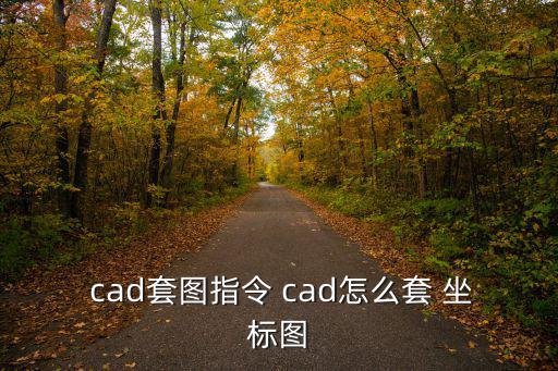 cad套坐標教程,如何在cad中使用al命令集坐標