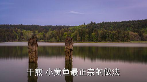 干煎 小黃魚最正宗的做法