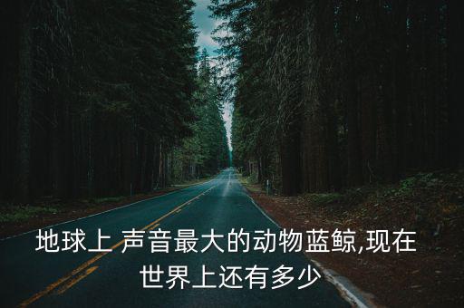 世界上最大的聲音,世界最大機(jī)械鐘滴答作響聲驚動(dòng)錄音軟件