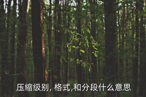 壓縮格式,從簡到繁!壓縮文件的方法