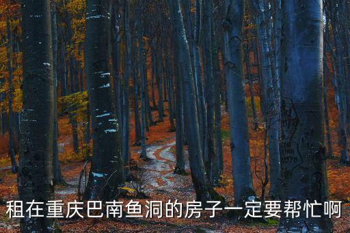 重慶市魚洞合租房，重慶巴南區魚洞公租房有三室一廳嗎