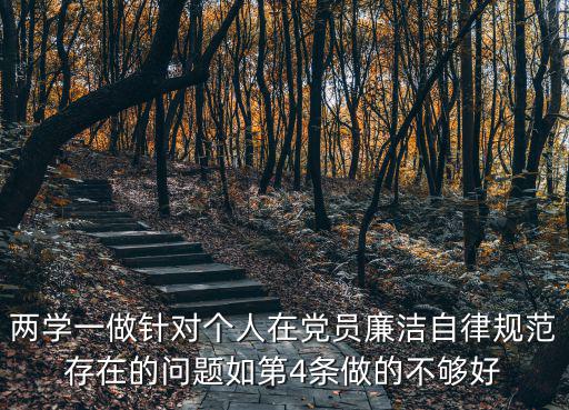 兩學一做針對個人在黨員廉潔自律規范存在的問題如第4條做的不夠好