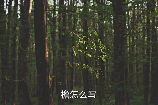 檐怎么寫