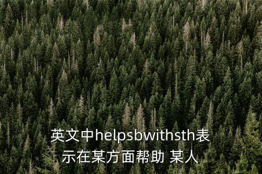 英文中helpsbwithsth表示在某方面幫助 某人