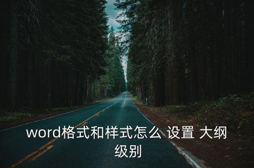 word格式和樣式怎么 設(shè)置 大綱 級別
