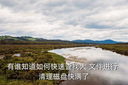 有誰知道如何快速查找大 文件進行 清理磁盤快滿了