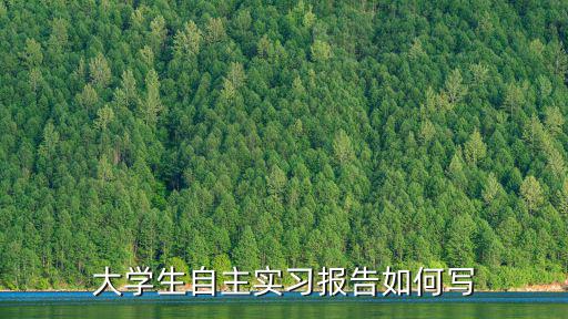 大學生自主實習報告如何寫